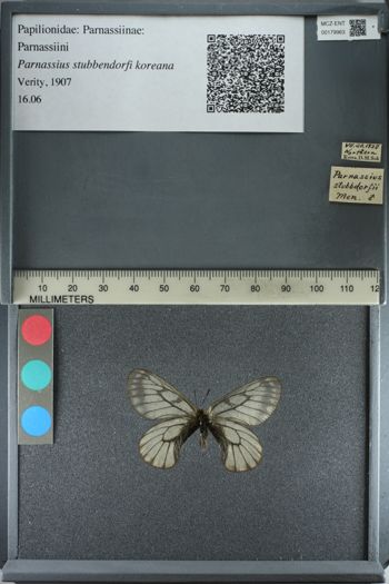 Media type: image;   Entomology 179963